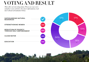 H&M Conscious Foundation Initiatives Voting