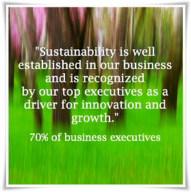 Sustainability as key driver for business growth and innovation