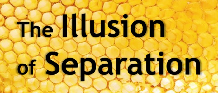 the_illusion_of_separation