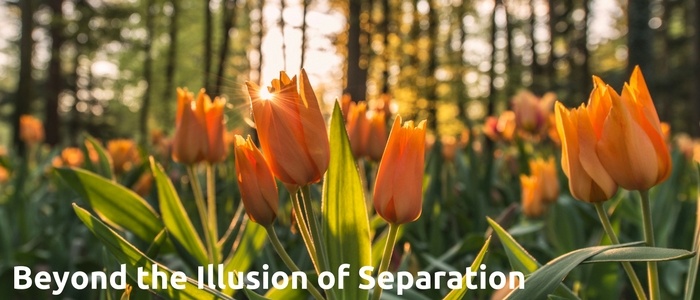 Beyond the Illusion of Separation.jpg